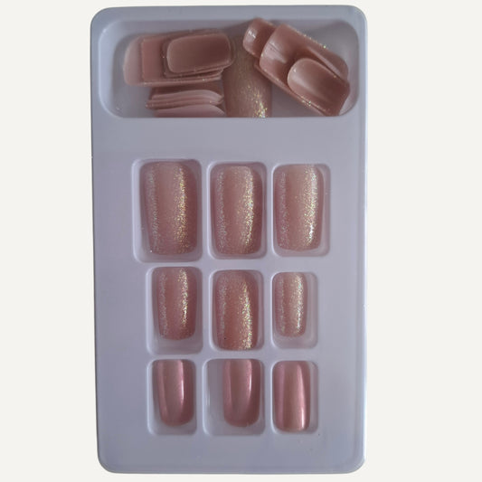 Dazori Press On Tips D026