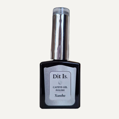 Dit Is. Cat Eye Gelpolish Xanthe – Zilvergrijs | 15 ml