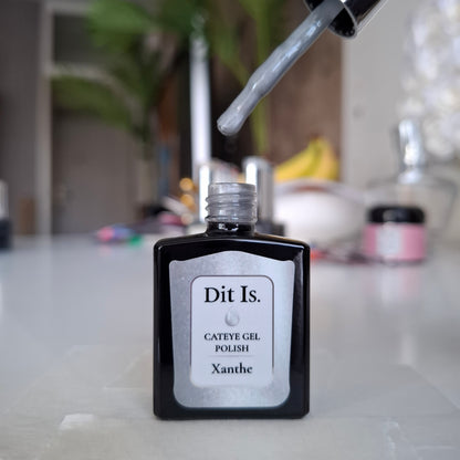 Dit Is. Cat Eye Gelpolish Xanthe – Zilvergrijs | 15 ml