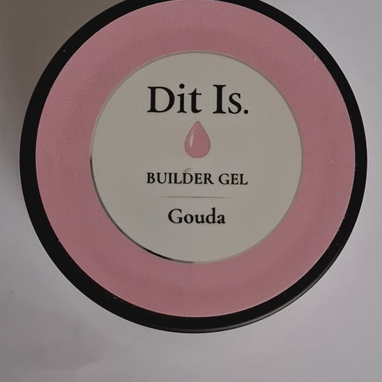 gouda