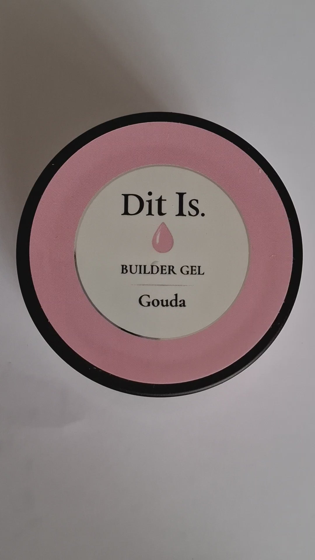gouda