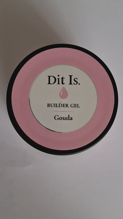 gouda