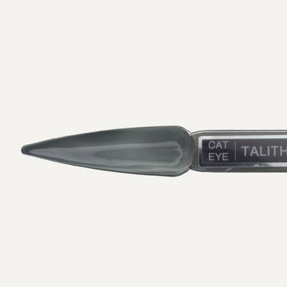 Dit Is. Cat Eye Gelpolish Talitha – IJsgrijs | 15 ml